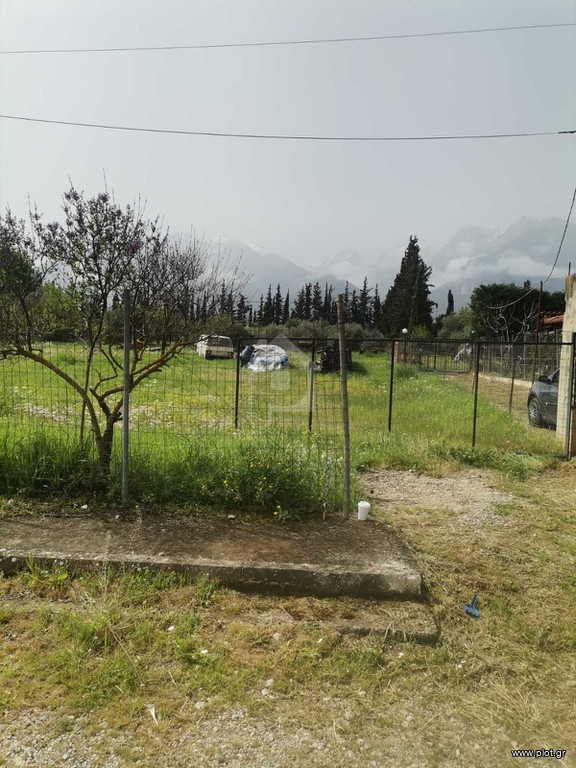 Οικόπεδο 1.900 τ.μ. προς πώληση, Κάτω Τιθορέα