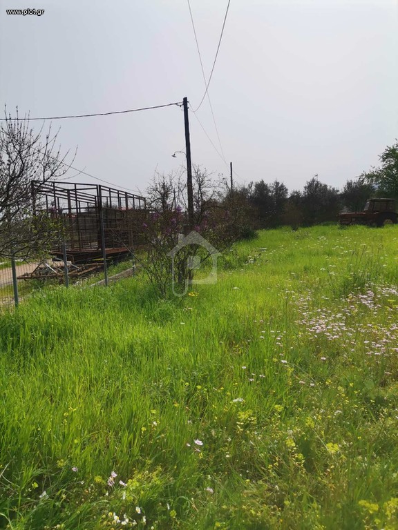 Οικόπεδο 1.900 τ.μ. προς πώληση, Κάτω Τιθορέα