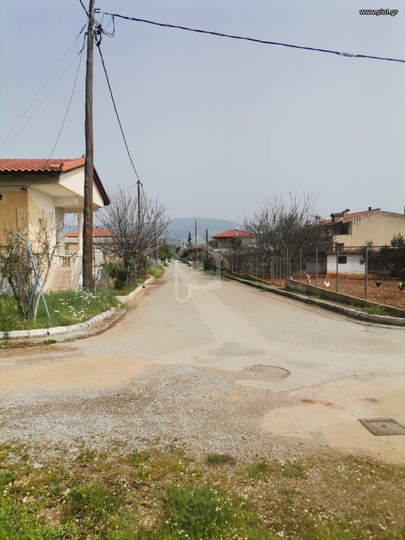 Οικόπεδο 1.900 τ.μ. προς πώληση, Κάτω Τιθορέα