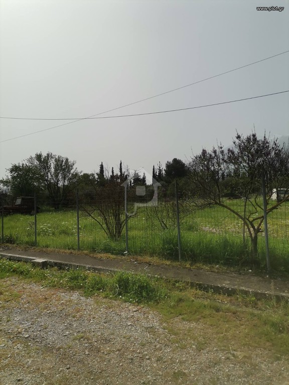Οικόπεδο 1.900 τ.μ. προς πώληση, Κάτω Τιθορέα