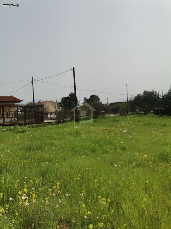 Οικόπεδο 1.900 τ.μ. προς πώληση, Κάτω Τιθορέα