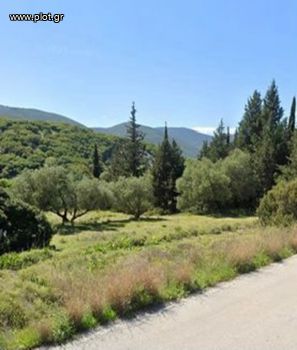 Land plot 10.000 sqm for rent