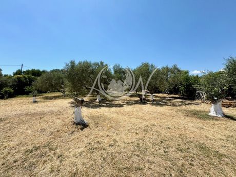 Other 200sqm for sale-Alexandroupoli » Dikella