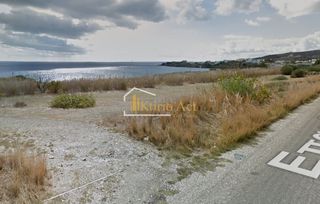 Αγροτεμάχια 10.000 τ.μ. για πώληση