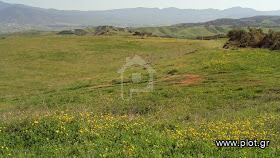 Αγροτεμάχια 10.300 τ.μ. για πώληση, Θεσσαλονίκη - Περιφ/Κοί Δήμοι, Θέρμη