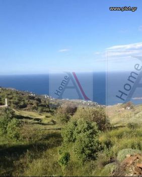Οικόπεδο 29.700τ.μ. για πώληση-Κέα » Ατζερίτης