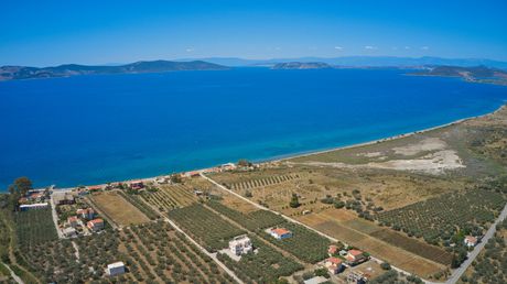 Αγροτεμάχια 28.133 τ.μ. για πώληση