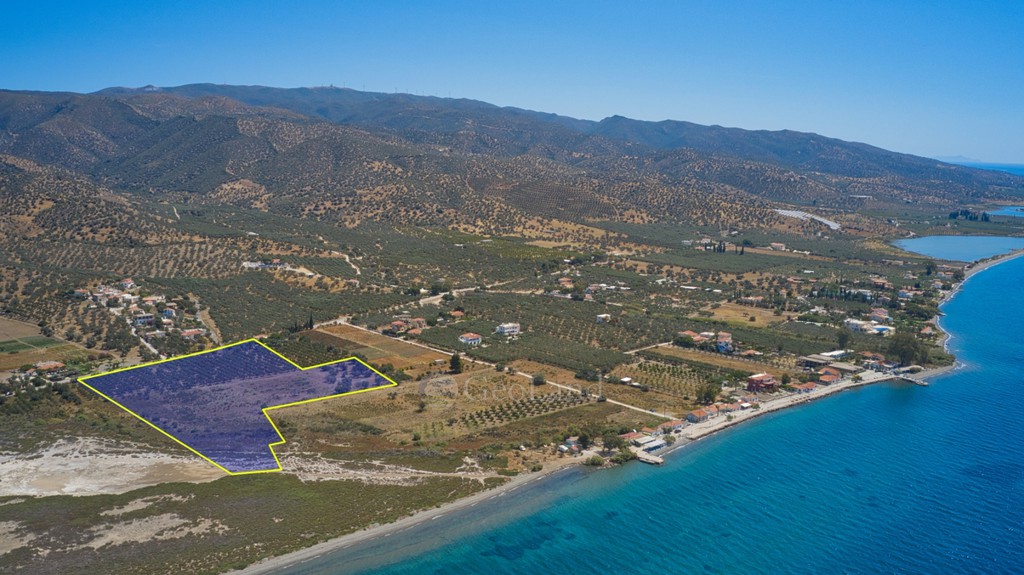 Αγροτεμάχια 28.133 τ.μ. προς πώληση, Πηγάδια Ερμιόνης
