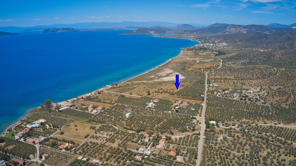 Αγροτεμάχια 28.133 τ.μ. προς πώληση, Πηγάδια Ερμιόνης