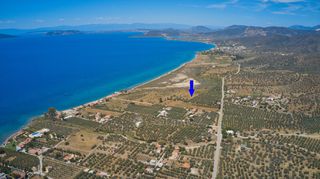 Αγροτεμάχια 28.133 τ.μ. προς πώληση, Πηγάδια Ερμιόνης-thumb-3