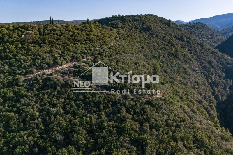 Αγροτεμάχια 100.000 τ.μ. προς πώληση, Παλούμπα
