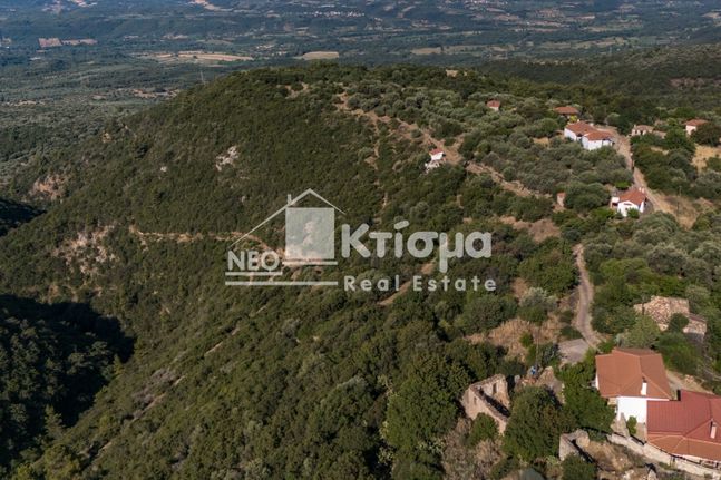 Parcel 100.000 sqm for sale, Arcadia, Iraia