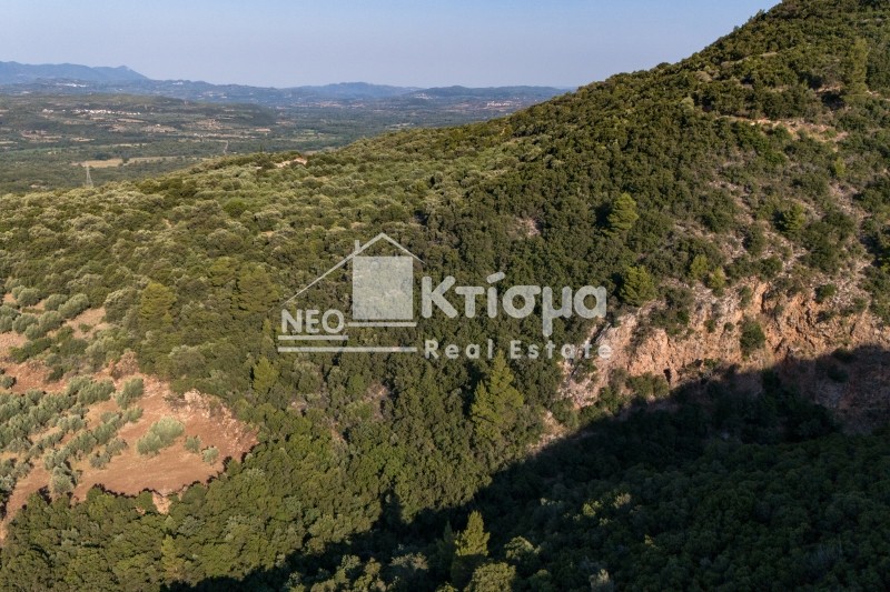 Αγροτεμάχια 100.000 τ.μ. προς πώληση, Παλούμπα