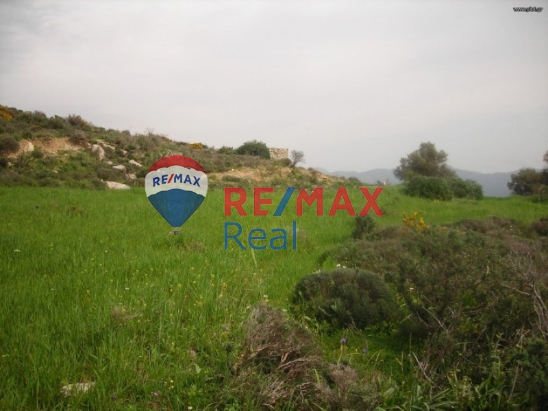 Οικόπεδο 51.985 τ.μ. προς πώληση, Ψαλίδα Ρουβά