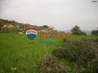 Οικόπεδο 51.985 τ.μ. για πώληση, Ν. Ηρακλείου, Ρουβάς-thumb-4