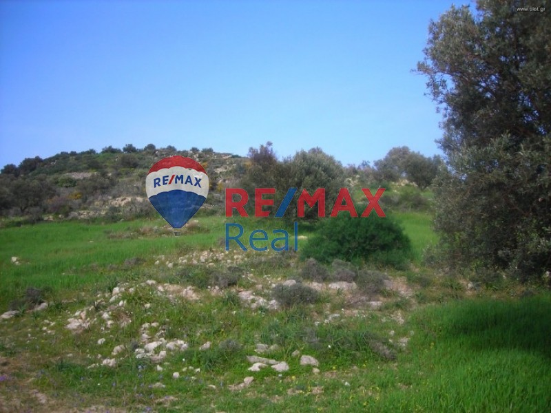 Οικόπεδο 51.985 τ.μ. προς πώληση, Ψαλίδα Ρουβά