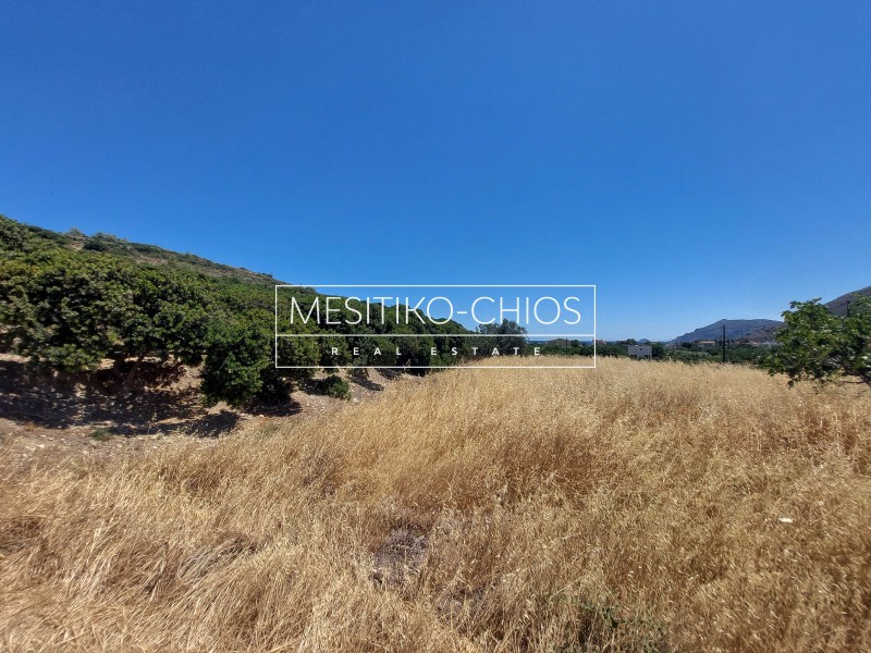 Οικόπεδο 789,56 τ.μ. προς πώληση, Μαστιχοχώρια