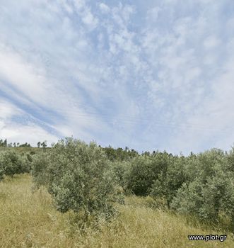 Land plot 657sqm for sale-Limni » Mirtias