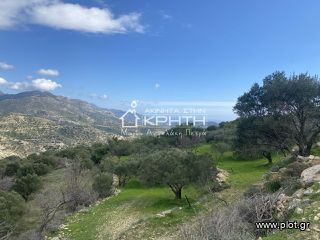 Οικόπεδο 3.500 τ.μ. για πώληση