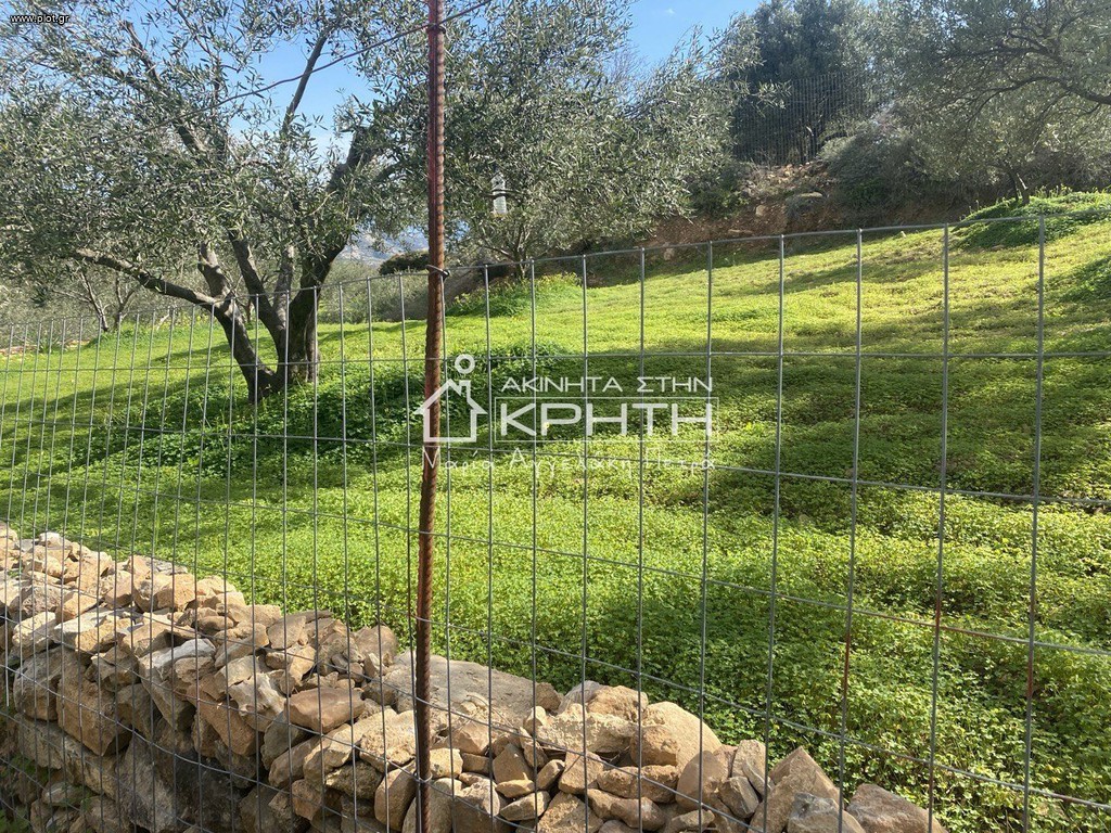 Οικόπεδο 11.000 τ.μ. προς πώληση, Καλαμαύκα