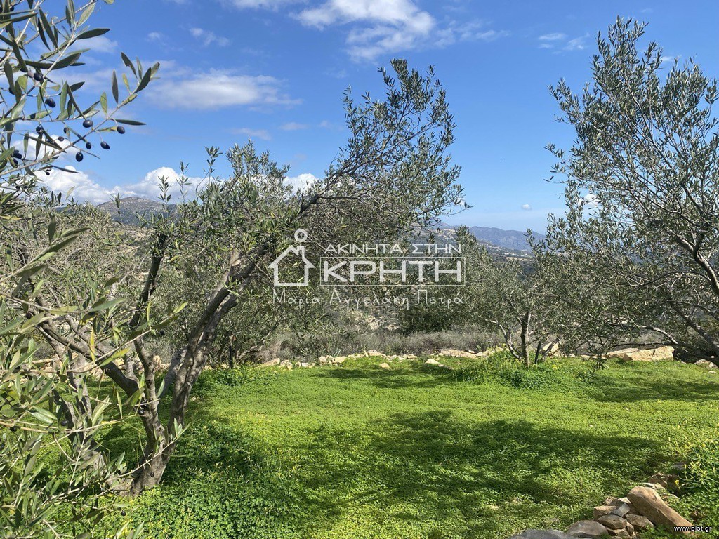 Οικόπεδο 11.000 τ.μ. προς πώληση, Καλαμαύκα