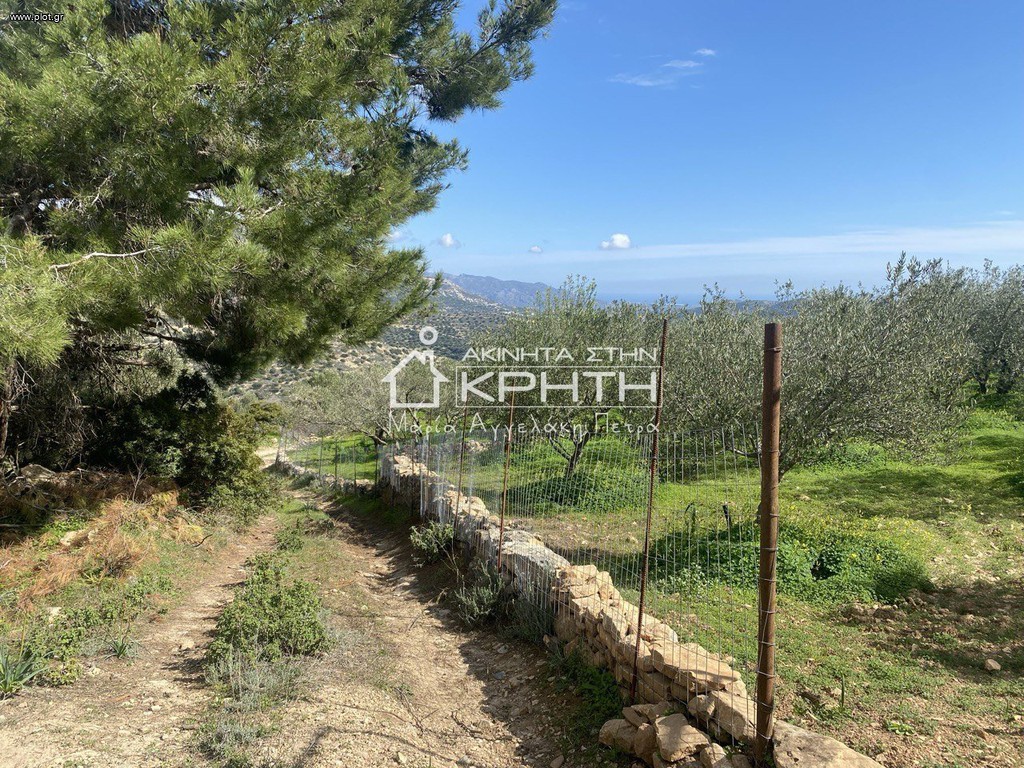 Οικόπεδο 11.000 τ.μ. προς πώληση, Καλαμαύκα
