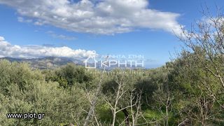 Οικόπεδο 2.000 τ.μ. για πώληση