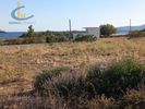 Οικόπεδο 4.090τ.μ. για πώληση-Κάρυστος » Κάτω αετός