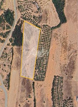 Parcel 10.000 sqm for sale