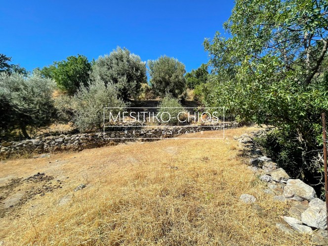 Οικόπεδο 1.055 τ.μ. προς πώληση, Ομηρούπολη