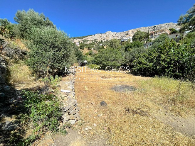 Οικόπεδο 1.055 τ.μ. προς πώληση, Ομηρούπολη