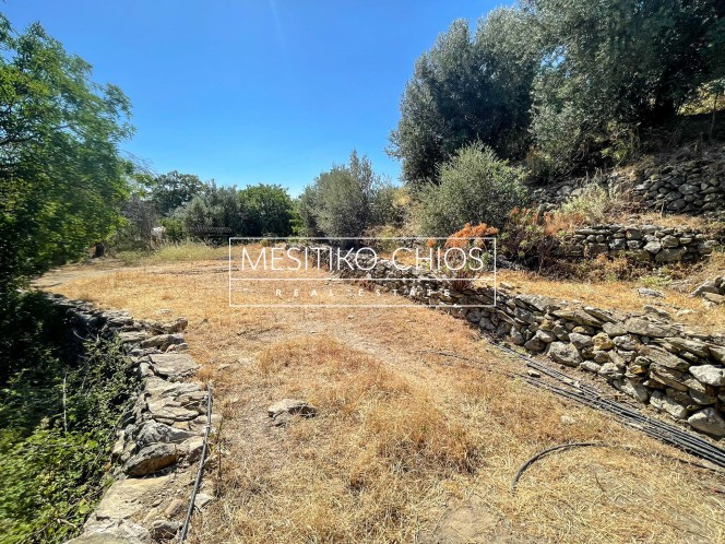 Οικόπεδο 1.055 τ.μ. προς πώληση, Ομηρούπολη