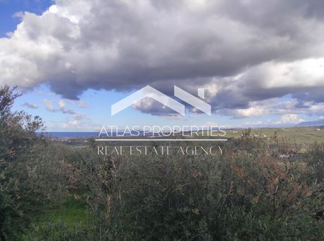 Οικόπεδο 1.300 τ.μ. για πώληση
