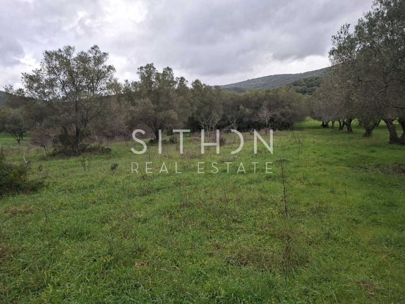 Αγροτεμάχια 786 τ.μ. προς πώληση, Κουφός Τορώνης