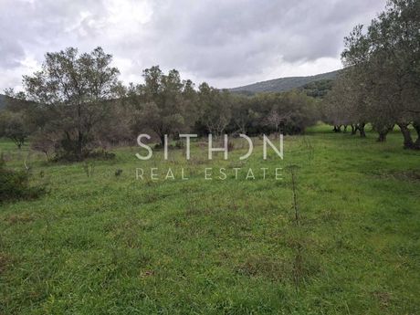 Αγροτεμάχια 786 τ.μ. προς πώληση