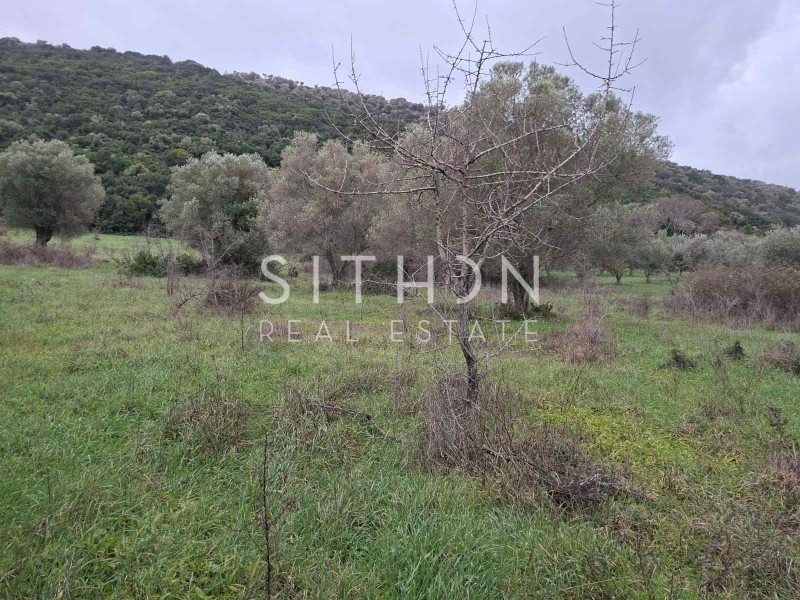 Αγροτεμάχια 786 τ.μ. προς πώληση, Κουφός Τορώνης