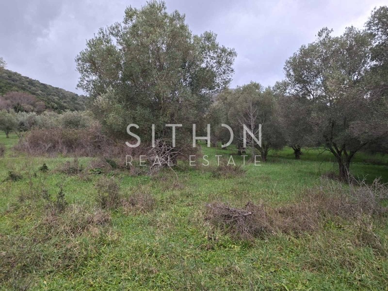 Αγροτεμάχια 786 τ.μ. προς πώληση, Κουφός Τορώνης