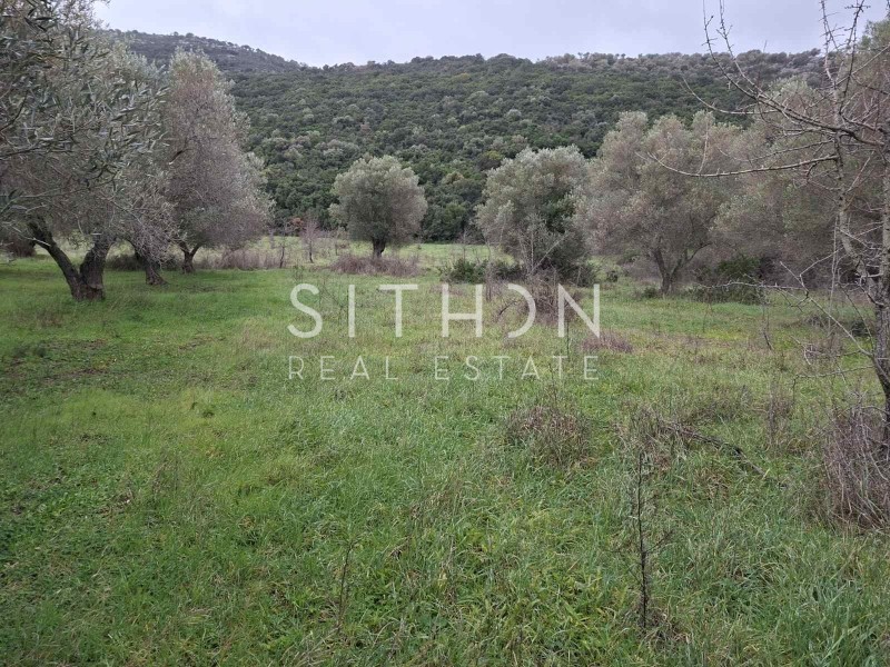 Αγροτεμάχια 786 τ.μ. προς πώληση, Κουφός Τορώνης