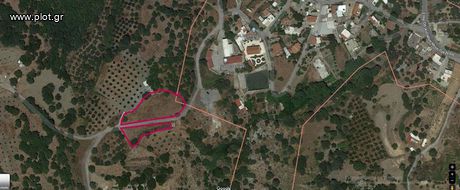 Οικόπεδο 3.104τ.μ. για πώληση-Φοινίκας » Κοξαρέ