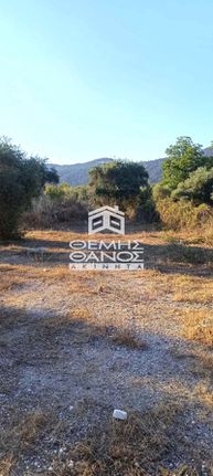 Land plot 650 sqm for sale, Kavala Prefecture, Thasos