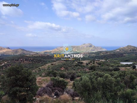 Οικόπεδο 3.106,73τ.μ. για πώληση-Φοινίκας » Μαριού