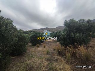 Οικόπεδο 3.106,73 τ.μ. για πώληση, Ν. Ρεθύμνου, Φοινίκας-thumb-2
