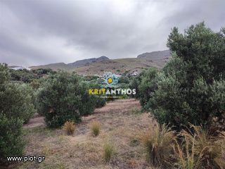 Οικόπεδο 3.106,73 τ.μ. για πώληση, Ν. Ρεθύμνου, Φοινίκας-thumb-3