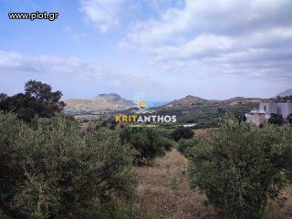 Οικόπεδο 3.106,73 τ.μ. για πώληση, Ν. Ρεθύμνου, Φοινίκας-thumb-5