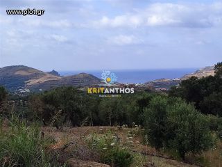 Οικόπεδο 3.106,73 τ.μ. για πώληση, Ν. Ρεθύμνου, Φοινίκας-thumb-6