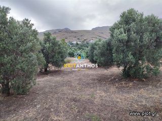 Οικόπεδο 3.106,73 τ.μ. για πώληση, Ν. Ρεθύμνου, Φοινίκας-thumb-7