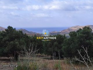Οικόπεδο 3.106,73 τ.μ. για πώληση, Ν. Ρεθύμνου, Φοινίκας-thumb-8