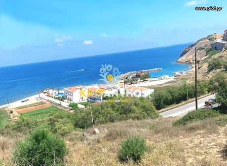 Οικόπεδο 11.500τ.μ. για πώληση-Αρκάδι » Σκαλέτα