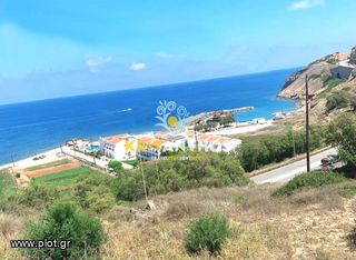 Οικόπεδο 11.500 τ.μ. για πώληση
