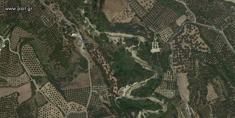 Οικόπεδο 6.000τ.μ. για πώληση-Αρκάδι » Βιρανεπισκοπή